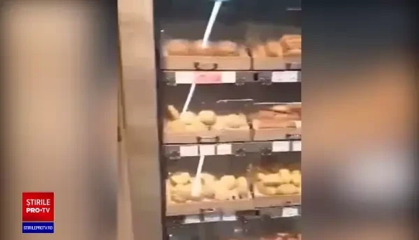 Șoarece surprins la raionul de patiserie a unui supermarket din Buzău. Magazinul a fost amendat cu 10.000 de lei
