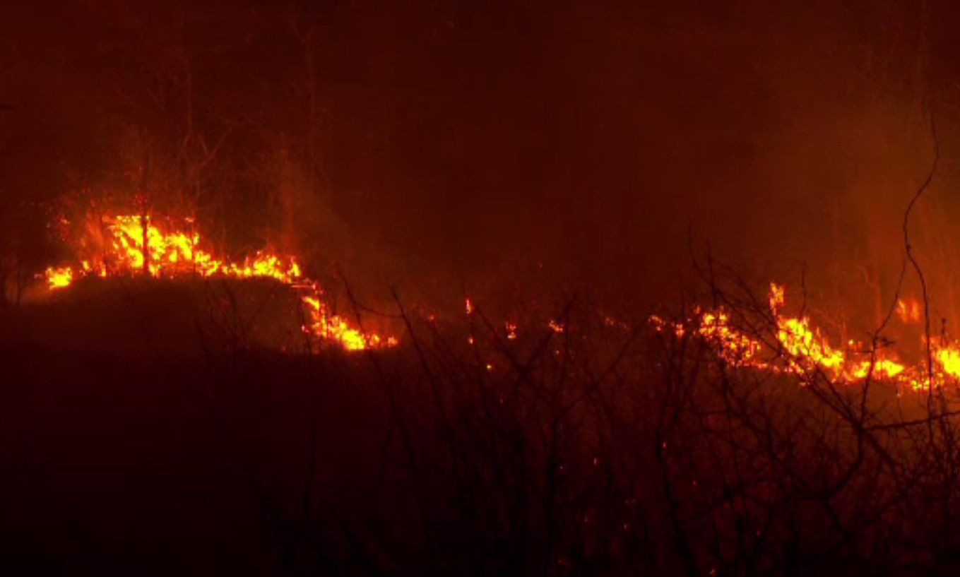 Alertă în Buzău, unde au izbucnit patru incendii simultan