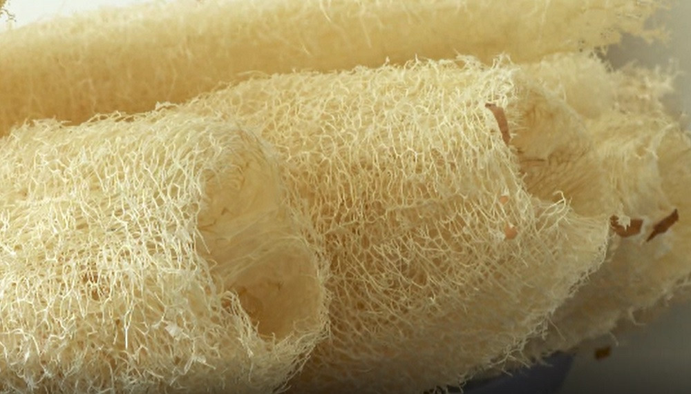 Premieră în România. Buretele vegetal produs în Buzău a fost scos la vânzare