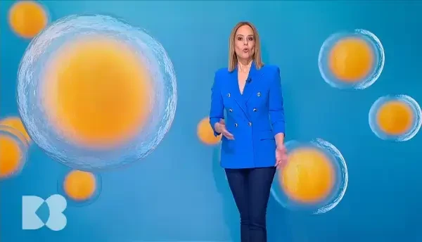 Ce sunt ovocitele și la ce ne ajută? Legătura dintre apă și celulele reproducătoare umane