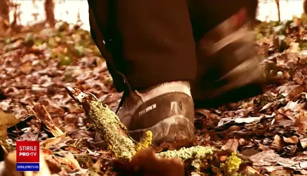 Copil de zece ani sfâșiat când venea de la școală, în Sf Gheorghe. Bănuielile anchetatorilor