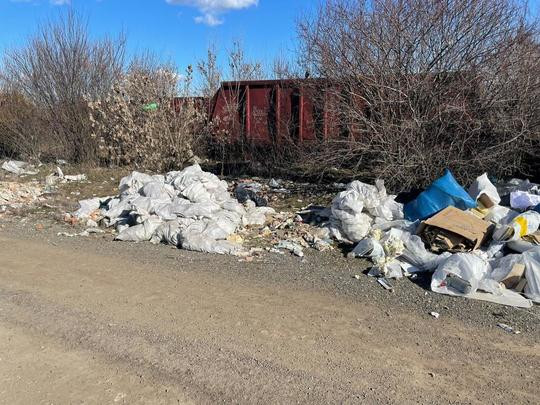 FOTO Arderi ilegale pe mai multe terenuri de la marginea Capitalei. Poliția de mediu încearcă să identifice responsabilii