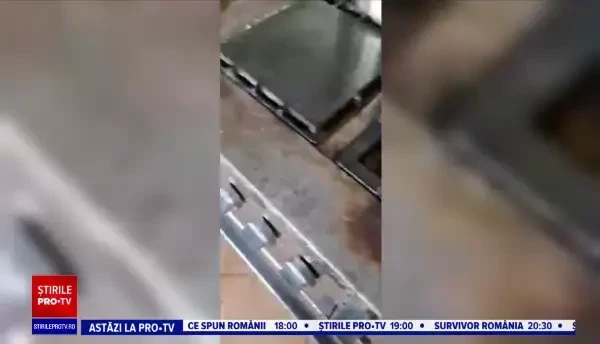 Nereguli grave găsite de comisarii ANPC în Cluj. Două restaurante au fost închise și s-au dat amenzi de 700.000 de lei