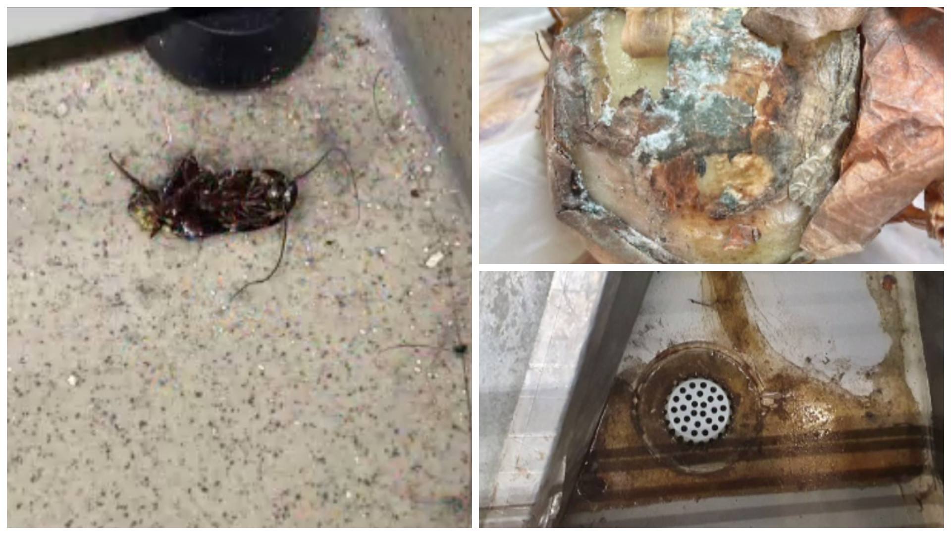 ANPC a controlat 65 de magazine mari din țară. Amenzi de peste 770.000 de lei aplicate într-o singură zi