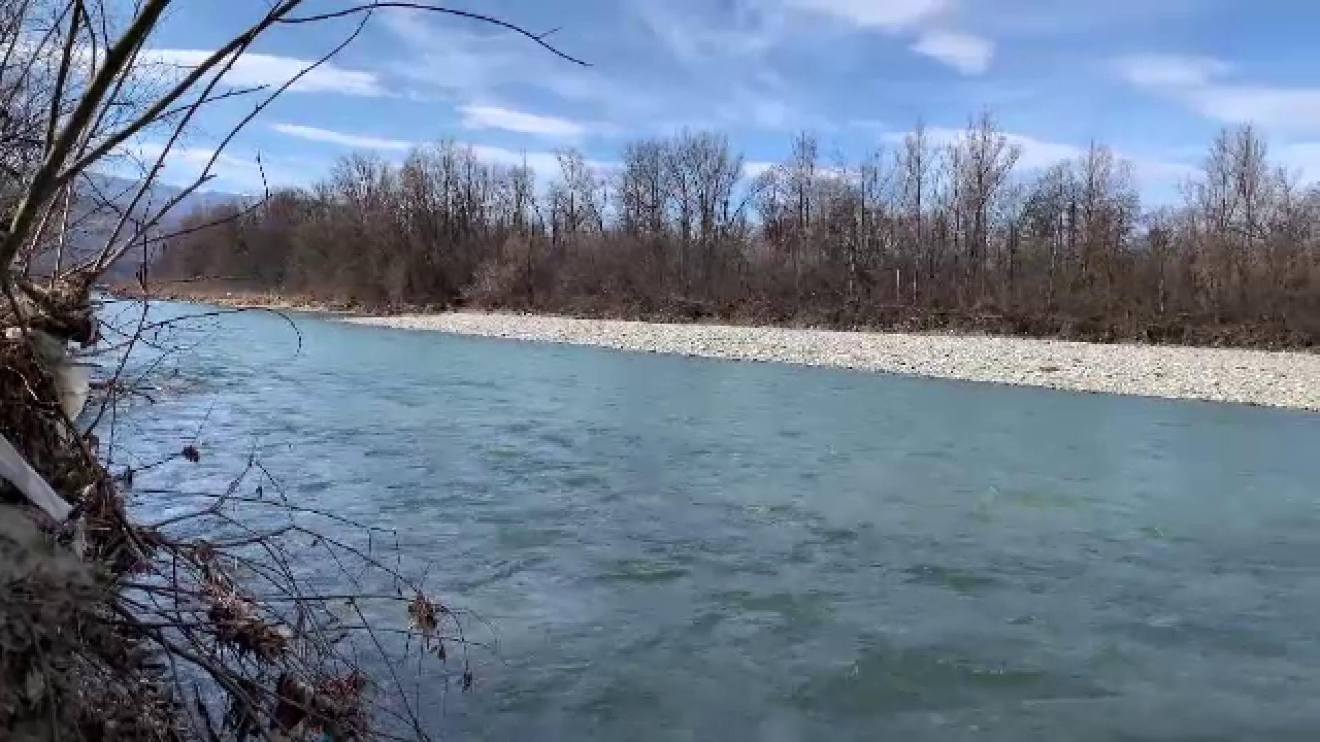 Patru ucrainieni au reușit să intre în România prin apele râului Tisa. Au fugit din Ucraina ca să nu fie trimiși la război