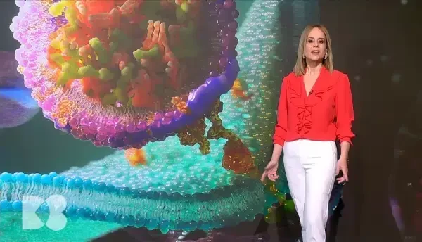 Ficatul secretă colesterol în timpul nopții. Când ar trebui administrat tratamentul pe bază de statine