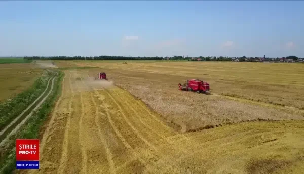 Războiul Rusiei din Ucraina lovește piața mondială a cerealelor. România are suficiente rezerve pentru a face față crizei