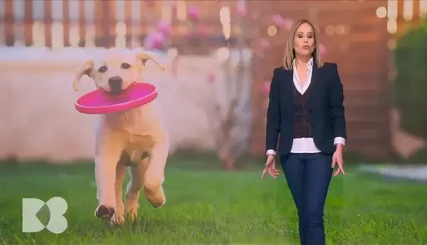 Cum să fii fericit. Psiholog: „În literatura de specialitate, există mai multe metafore”. Care este secretul