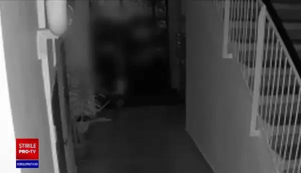 Momente de panică pentru o franțuzoaică stabilită în Constanța. Un individ ar fi încercat să o agreseze sexual