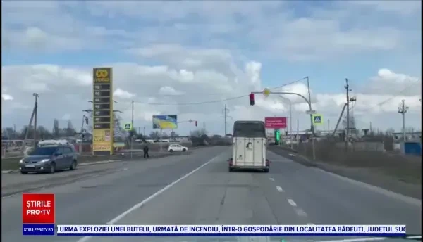 Proprietarii de cai din Odesa caută soluții pentru a-și salva animalele din calea războiului