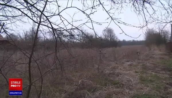 Care va fi salariul minim brut pentru angajații din agricultură. Măsura are ca scop stimularea acestui domeniu