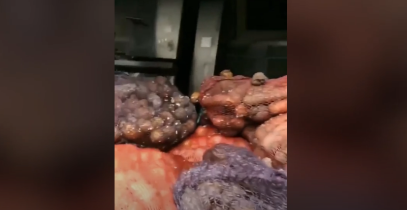 VIDEO. Ce au găsit soldații ucraineni într-un camion-bucătărie capturat de la ruși