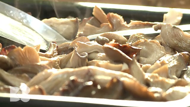 De ce ne plac atât de mult ciupercile. Pe lângă proprietățile remarcabile, pot fi consumate și fără restricții