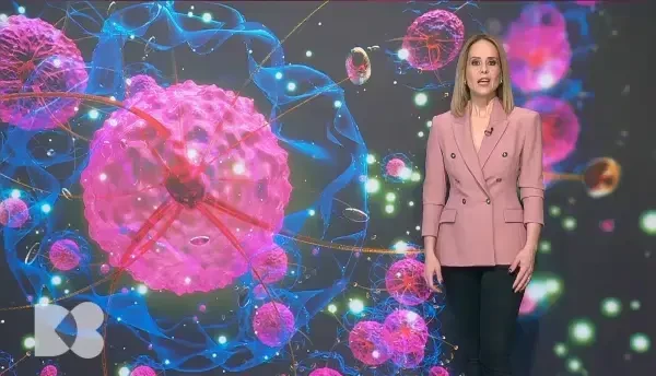 Hormonii de stres și legătura cu alimentația. Cum apare malnutriția