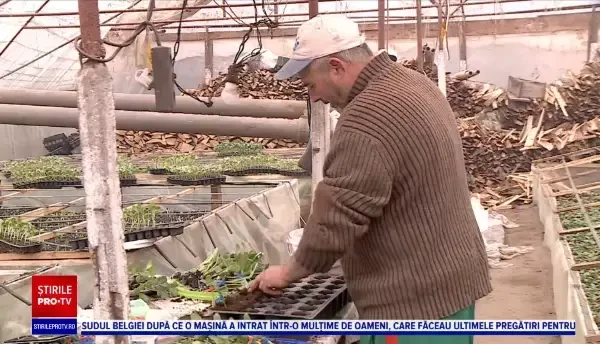 Pepenii de Dăbuleni vor fi mai greu de găsit în vară. Fermierii încep să se reorienteze