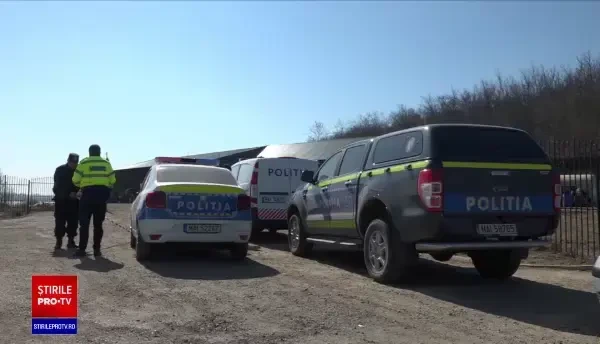 O bătrână de 93 de ani din județul Vaslui a fost găsită în agonie, sfâșiată de câini, în fața unei ferme piscicole