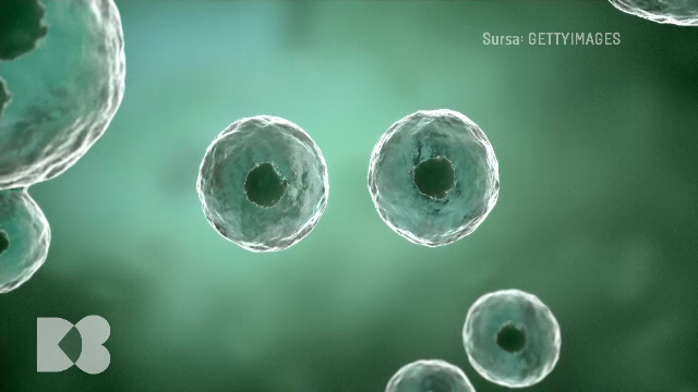 Ovocitele, celulele reproducătoare feminine, sunt cele mai afectate de trecerea timpului. Cum obținem o sarcină sănătoasă