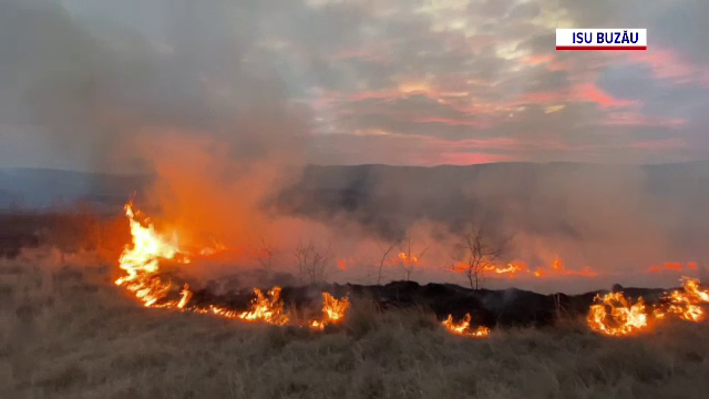Un incendiu a mistuit 700 de hectare de vegetație, în județul Buzău. Focare și în alte zone, ațâțate de vântul puternic