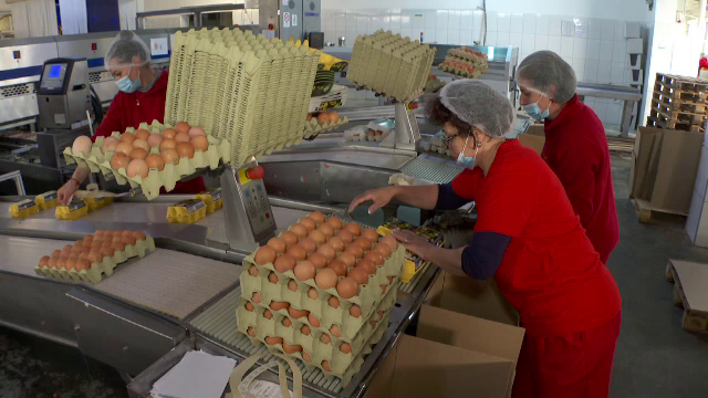 Chiar în preajma Paștelui, ouăle înregistrează cea mai mare creștere de cost din ultimii ani