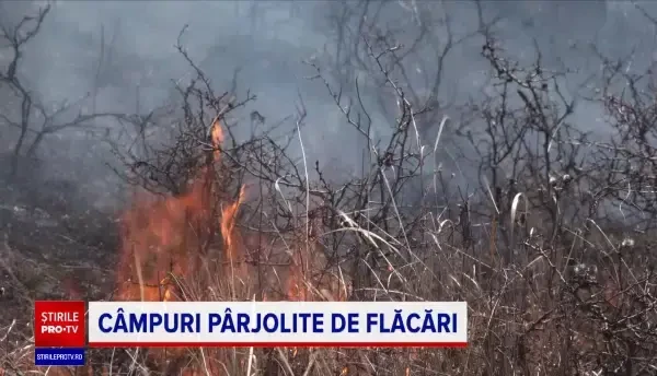 Un incendiu a mistuit 700 de hectare de vegetație, în județul Buzău. Focare și în alte zone, ațâțate de vântul puternic