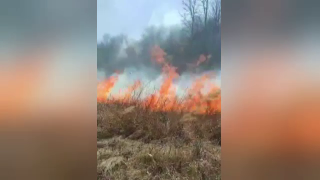 Zeci de hectare de pășune și pădure, distruse de un incendiu de vegetație produs de inconștiența unui localnic