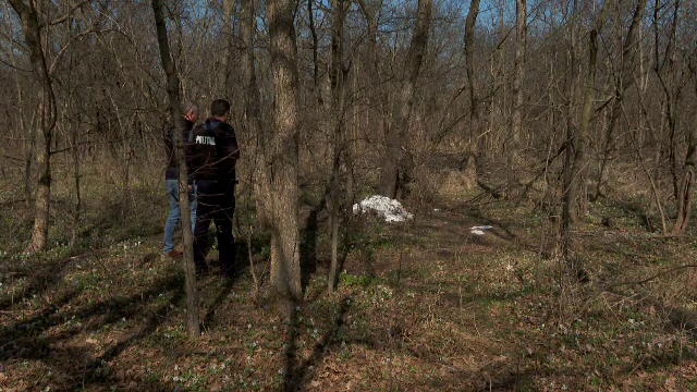 Cadavrele a 50 de pisici, descoperite în Parcul Central din Buzău