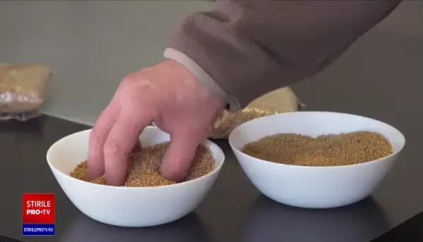 Producția de muștar ar putea fi îngreunată din cauza războiului din Ucraina