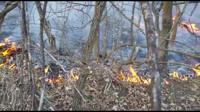 Un bărbat din Prahova a decedat după ce a fost surprins de un incendiu de vegetaţie uscată