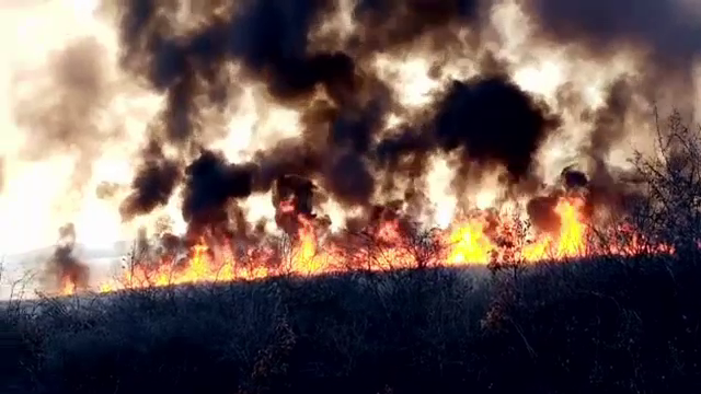 Incendiu uriaș în Bihor: ”No, iadul. Iadul pe pământ. Erau flăcările de 5 metri, dacă nu și mai mari”