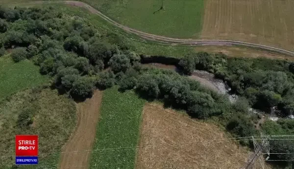 Agricultura din România și-a schimbat tendințele. Suprafețele cultivate scad de la an la an