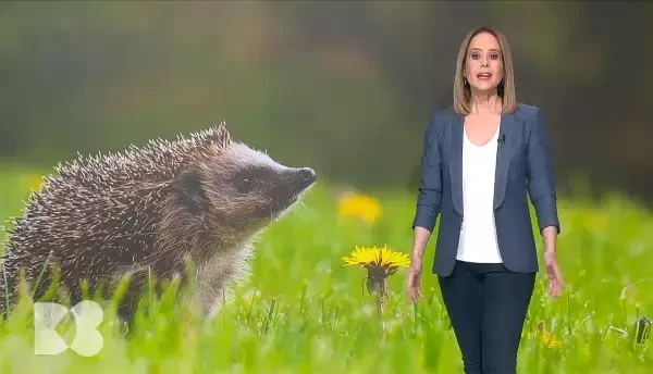 De ce este necesar să folosim cremă cu protecție solară și într-o zi înnorată