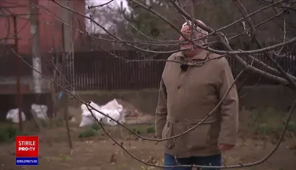 Firmele care montează panouri fotovoltaice nu mai fac față comenzilor. Românii sunt speriați de prețurile la energie