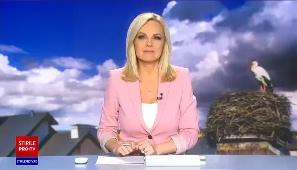 Prima barză a revenit într-un cuib din satul berzelor din județul Mureș