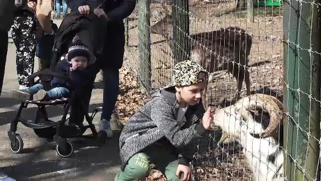 Mamele și copiii care au fugit din Ucraina au făcut o vizită la Grădina Zoologică din Târgu Mureș