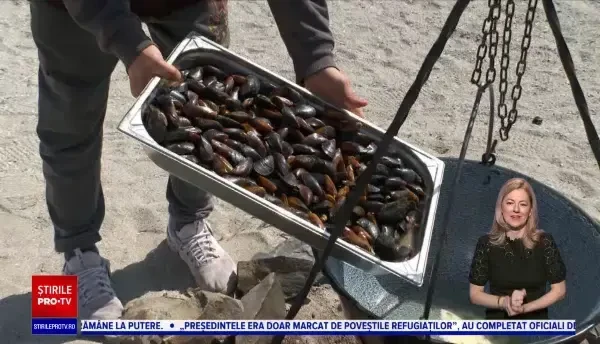 Weekend cu adevărat însorit la malul mării. A fost timpul perfect pentru delicii gătite direct pe plajă