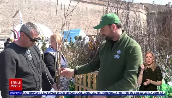 Pomii fructiferi, la mare căutare printre români. ”S-au vândut foarte bine după pandemie”