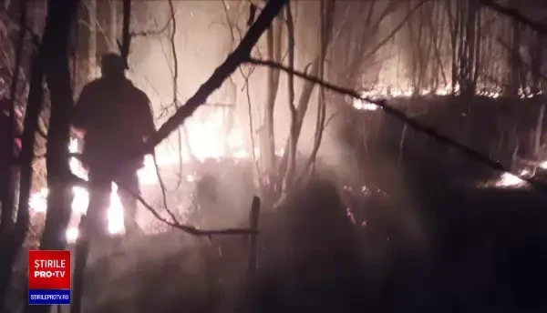 Incendiile de vegetație fac prăpăd în mai multe județe din țară, deși arderea câmpurilor este interzisă
