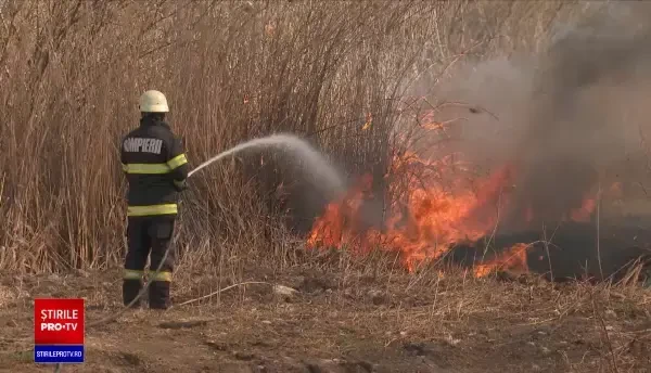 Dosar penal pentru 10 persoane din județul Alba după ce au provocat incendii de vegetație