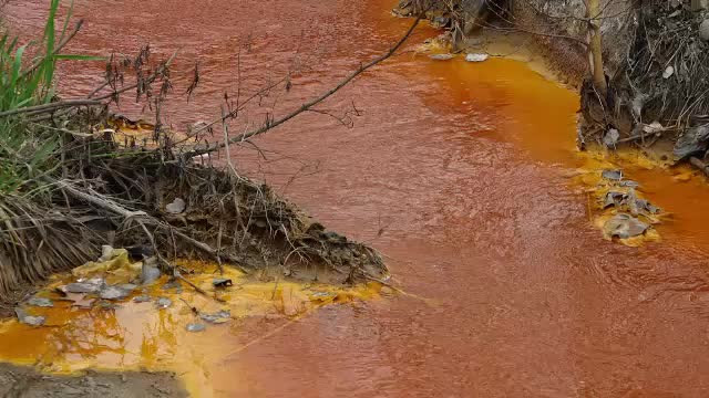 Fenomenul care a colorat în roșu apa râului Săsar din Baia Mare. Inspectorii de mediu monitorizează zona