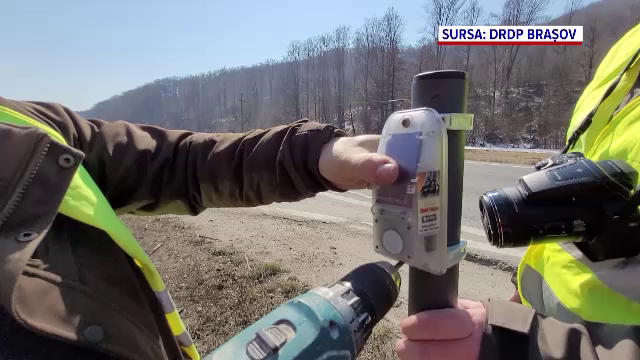 Gardurile virtuale montate pe DN1 au redus numărul accidentelor cu animale lovite sau omorâte a scăzut drastic