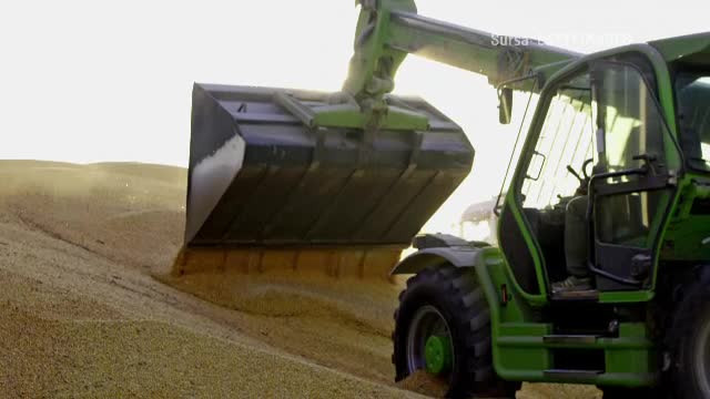 România ajută Ucraina să exporte cerealele blocate. Stocurile se ridică la 7,5 miliarde de dolari