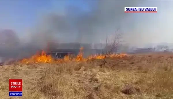 Un bătrân a murit carbonizat după ce a incendiat câmpul. „A luat foc, a bătut vântul. L-a prins și pe el”