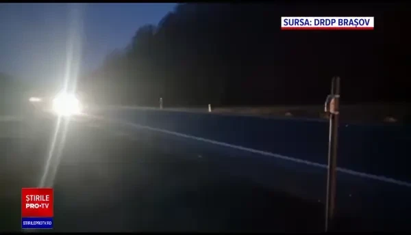 Gardurile virtuale montate pe DN1 au redus numărul accidentelor cu animale lovite sau omorâte a scăzut drastic