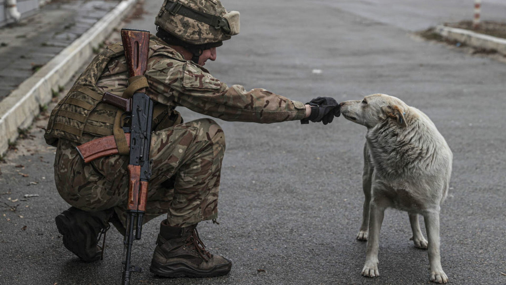 Continuă atacurile rusești asupra orașelor ucrainene. În unele locuri, ucrainenii au trecut la ofensivă