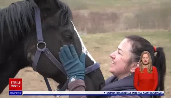 Trei femei din Odesa și-au salvat caii din calea războiului și au ajuns cu animalele într-un sat din Sibiu