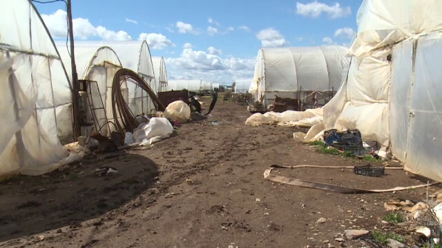 Furtunile au făcut ravagii în mai multe zone din România. Solarii au fost distruse, iar un TIR a fost doborât de vânt