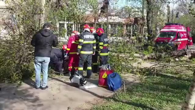 O femeie a ajuns la spital după ce un copac rupt de vânt a căzut chiar lângă ea