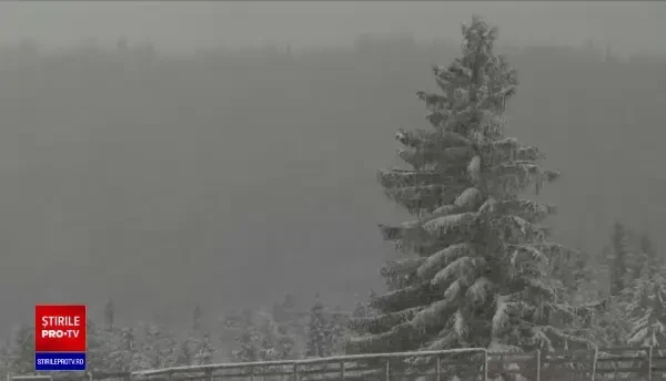 S-a întors zăpada în nordul țării. În județul Suceava stratul de zăpadă măsoară peste 10 centimetri