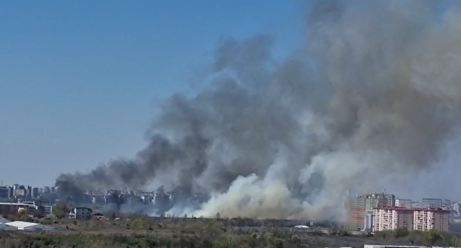 Incendiu de vegetație în Delta Văcărești. Suprafaţa afectată este de aproximativ 15.000 de mp. VIDEO