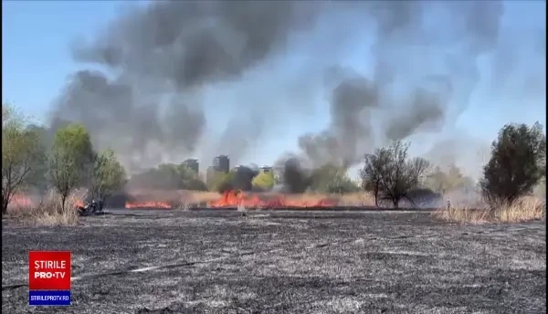 Incendiu de vegetație în Delta Văcărești. Suprafaţa afectată este de aproximativ 15.000 de mp. VIDEO